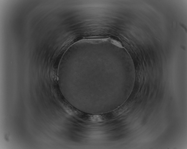 X0000091720091200709071446