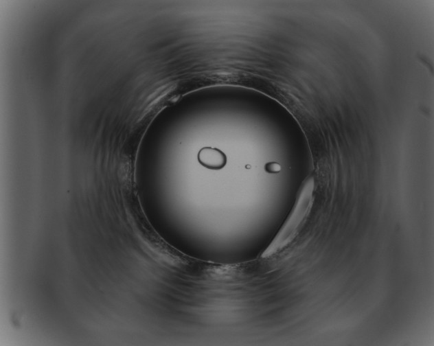 X0000091720092200709071446