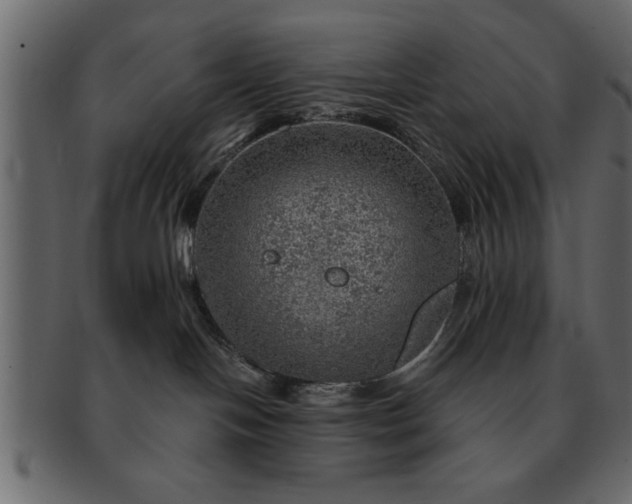 X0000091720094200709071446