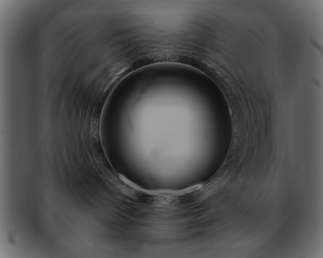 X0000091720096200709071446