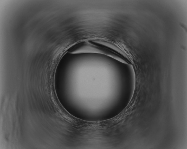 X0000091720097200709071445