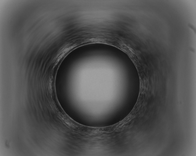 X0000091720098200709071445