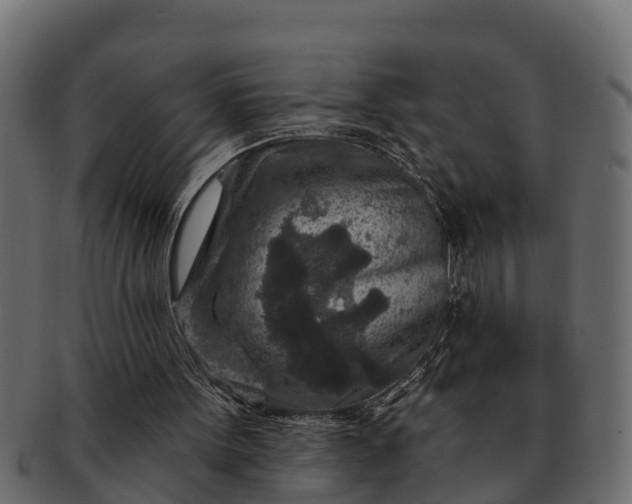 X0000091720099200709071445