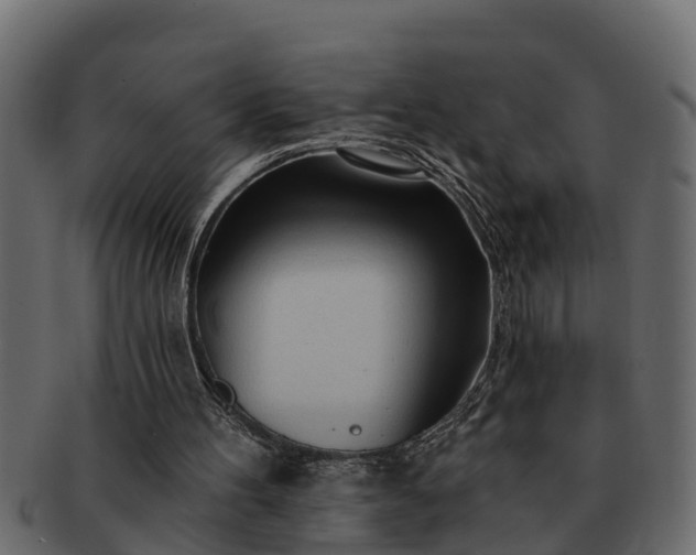 X0000091720100200709071445