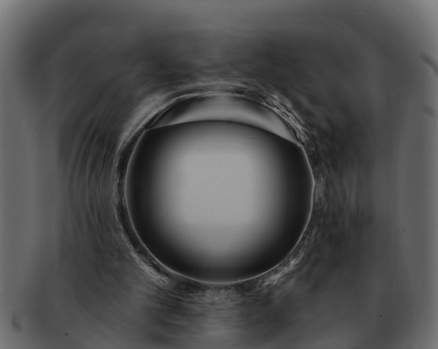 X0000091720101200709071445