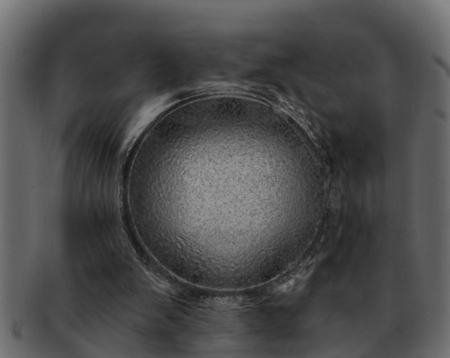 X0000091720103200709071445