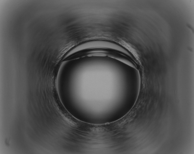 X0000091720105200709071445