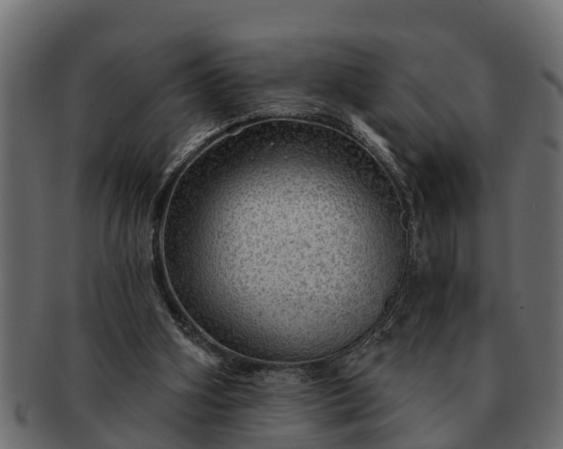 X0000091720106200709071445