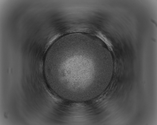 X0000091720107200709071445