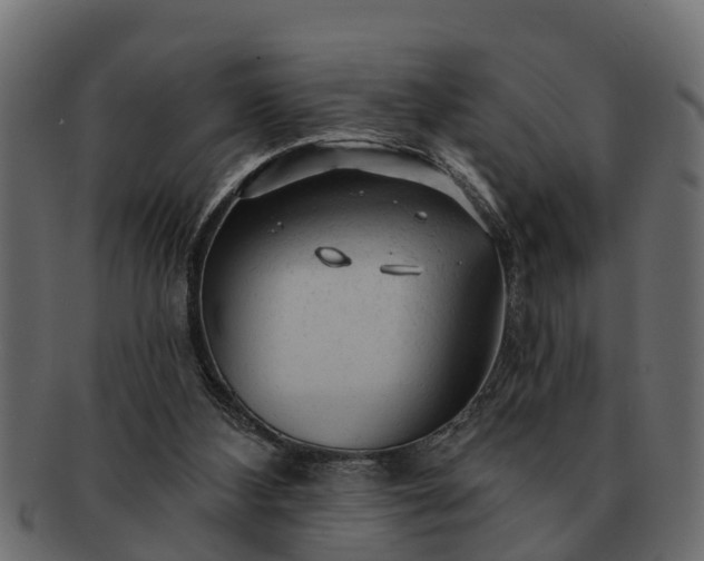 X0000091720108200709071445