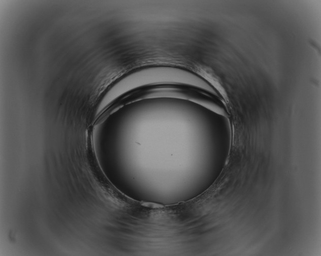 X0000091720109200709071445