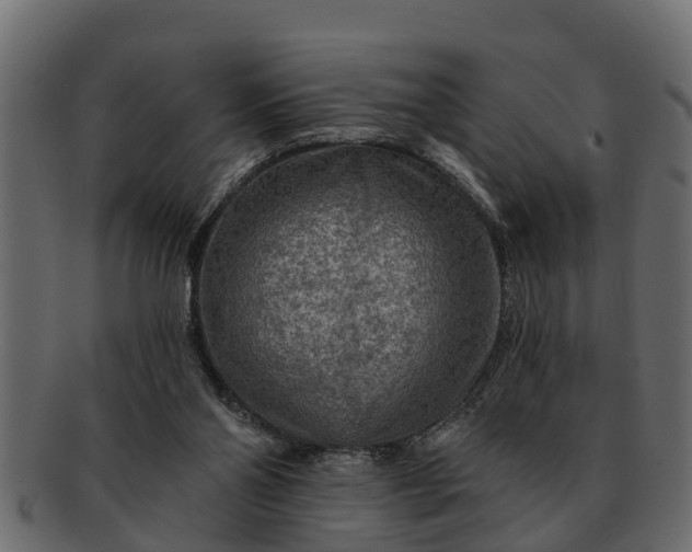 X0000091720110200709071445