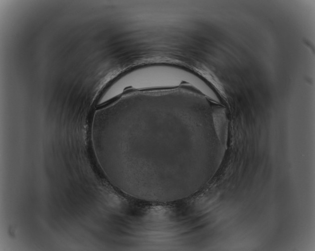 X0000091720111200709071445