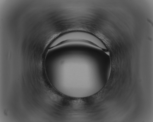 X0000091720112200709071445