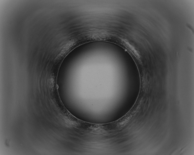 X0000091720113200709071445