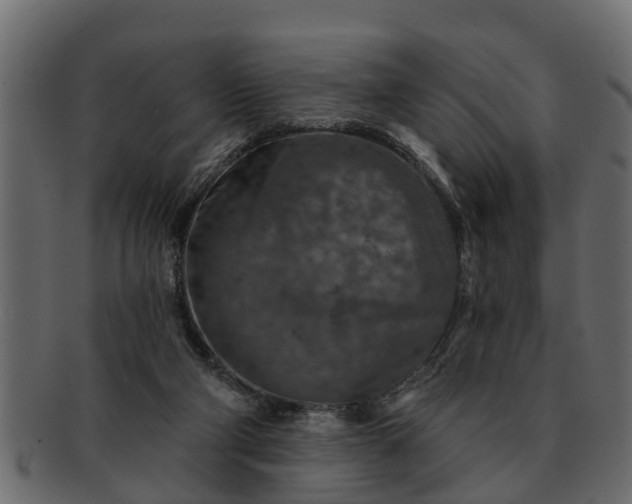 X0000091720114200709071445