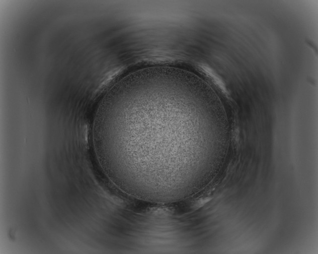 X0000091720115200709071445