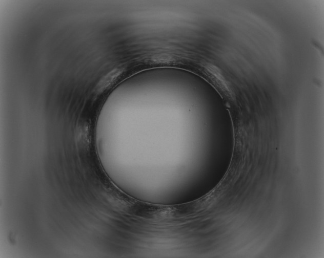 X0000091720116200709071445