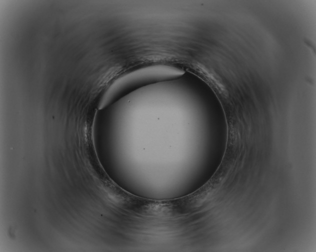 X0000091720117200709071445