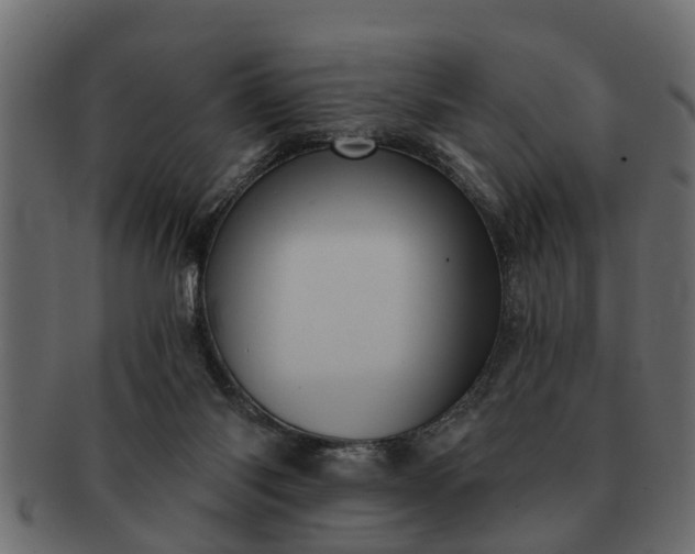 X0000091720118200709071445