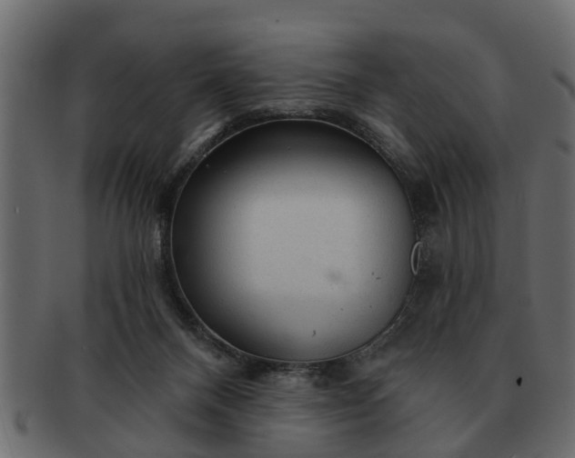 X0000091720120200709071445