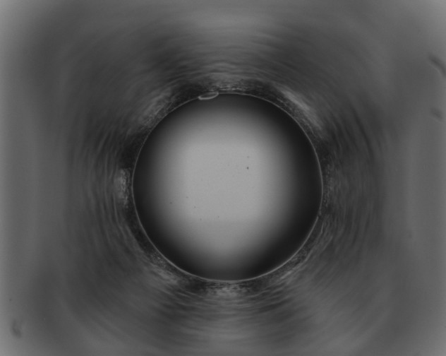 X0000091720121200709071445