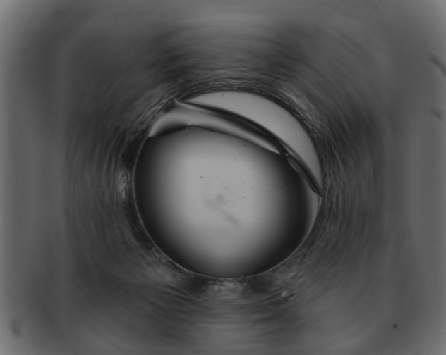 X0000091720125200709071444