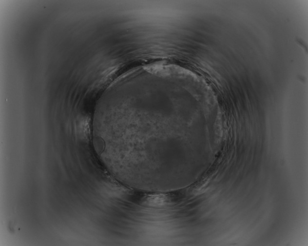 X0000091720127200709071444