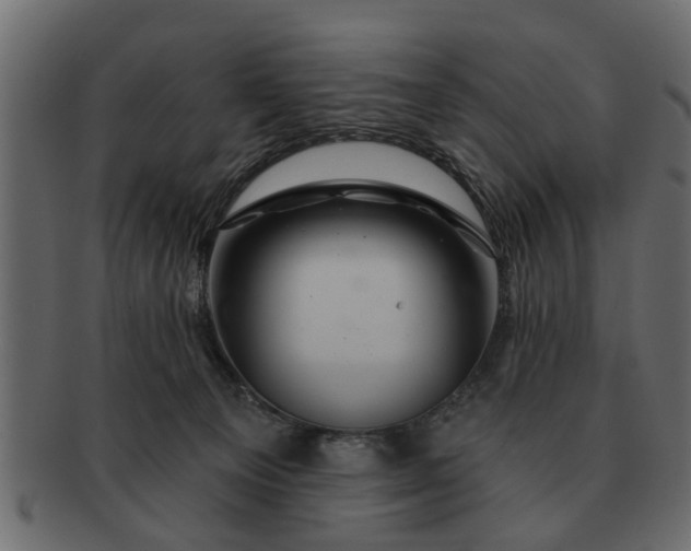 X0000091720129200709071444