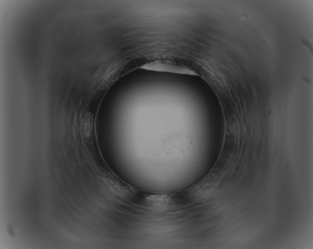 X0000091720133200709071444