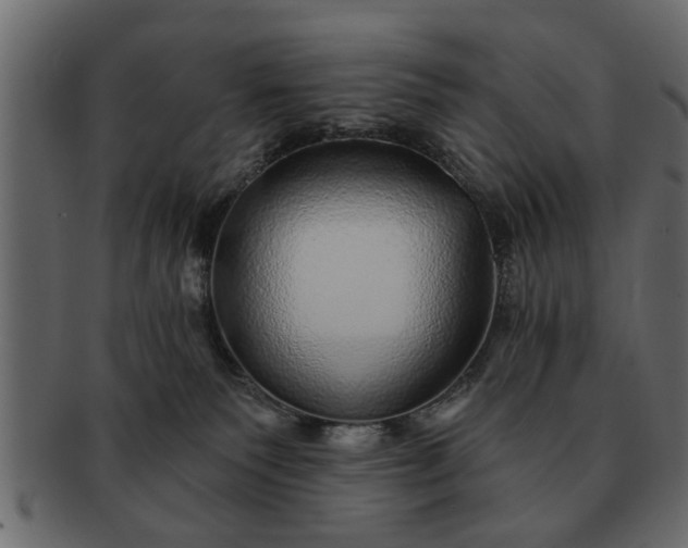 X0000091720135200709071444