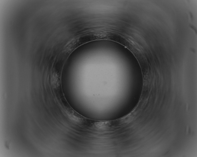 X0000091720136200709071444