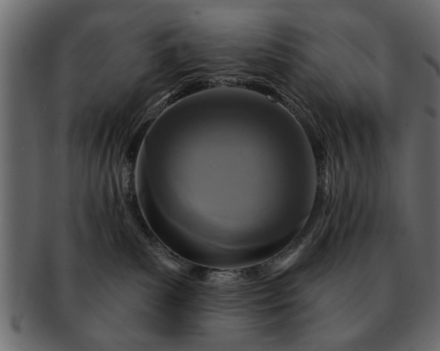 X0000091720139200709071444