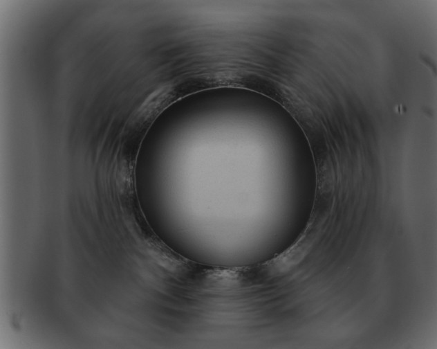 X0000091720140200709071444