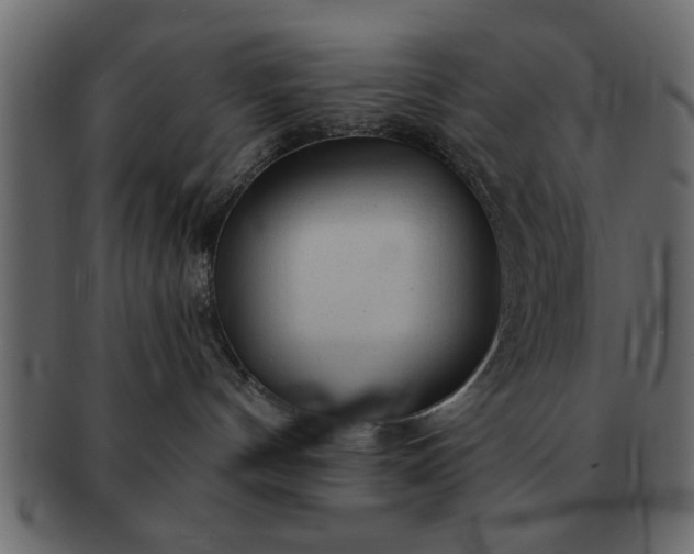 X0000091720144200709071444