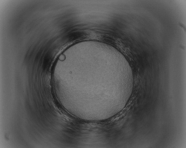 X0000091720146200709071444