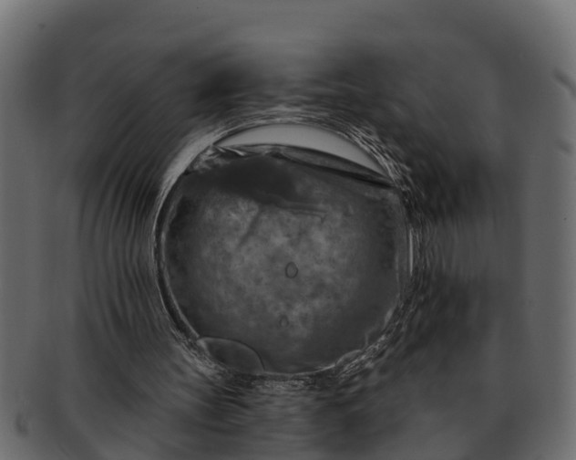 X0000091720147200709071444