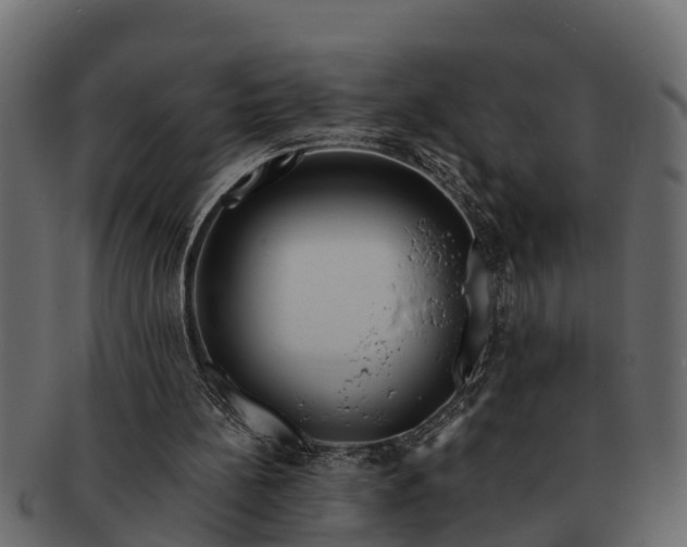 X0000091720148200709071444