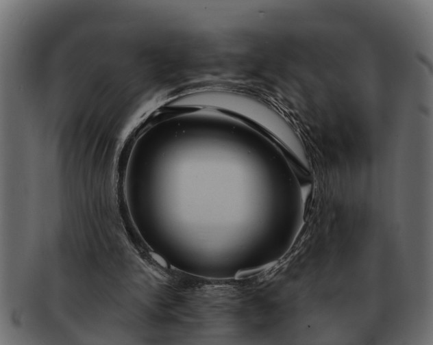 X0000091720150200709071444