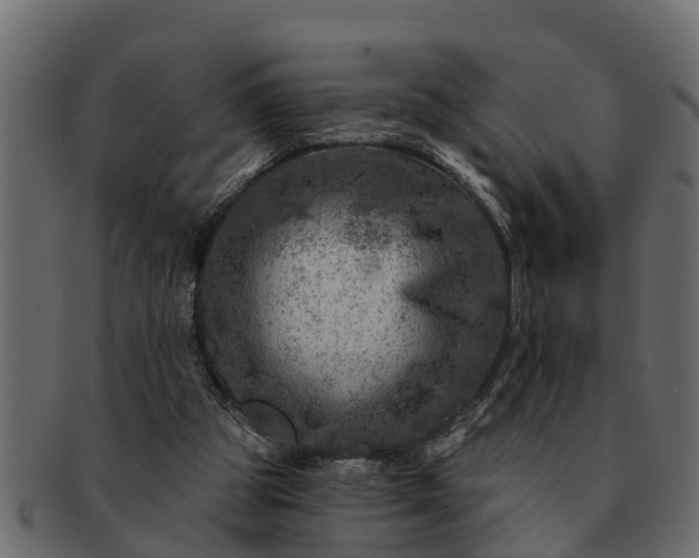 X0000091720153200709071444