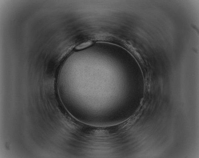 X0000091720154200709071444