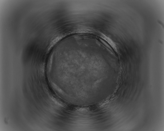 X0000091720155200709071444