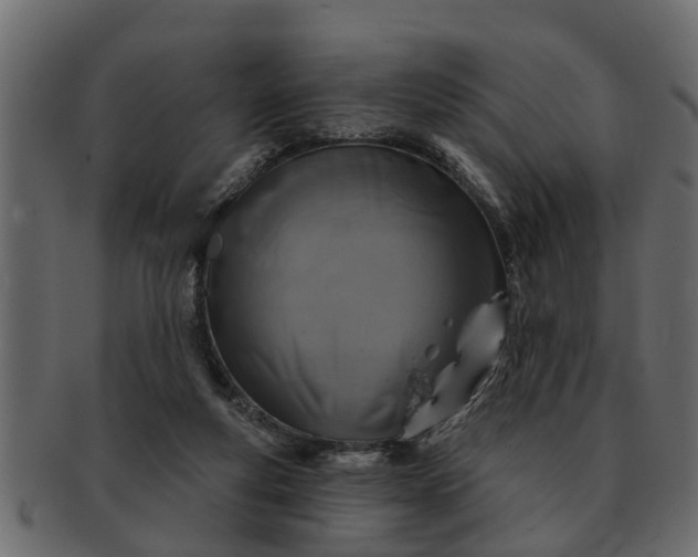 X0000091720163200709071444