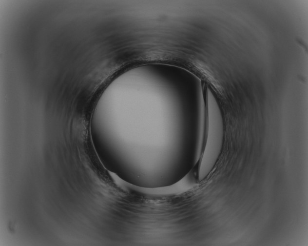 X0000091720164200709071444