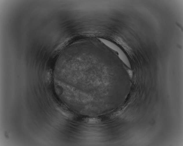 X0000091720165200709071444