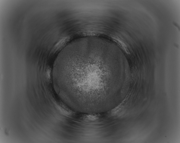 X0000091720166200709071444