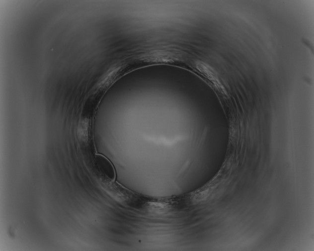 X0000091720167200709071444