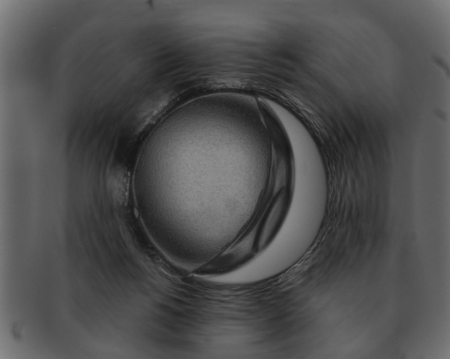 X0000091720168200709071444