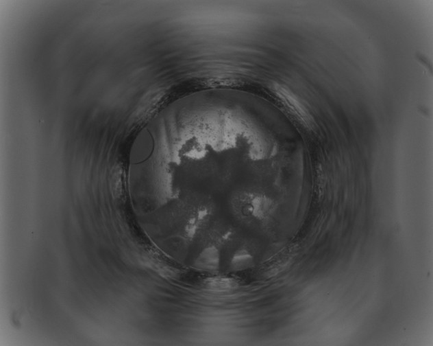 X0000091720169200709071444