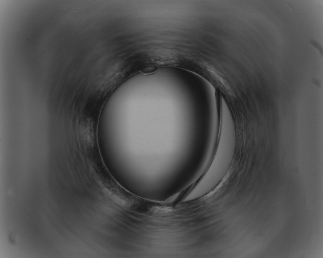 X0000091720170200709071444